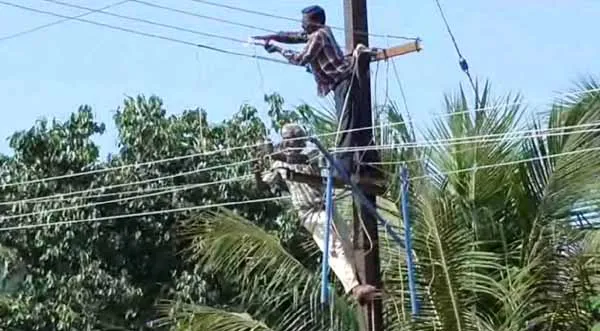 Electricity Board's Negligence 